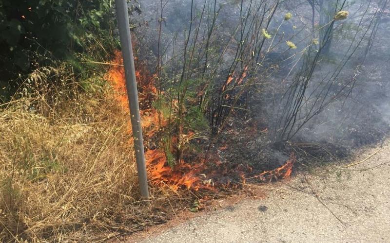 Τύρναβος: Πρόστιμο για πρόκληση πυρκαγιάς σε ξερά χόρτα